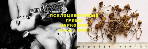 МДПВ Заволжье
