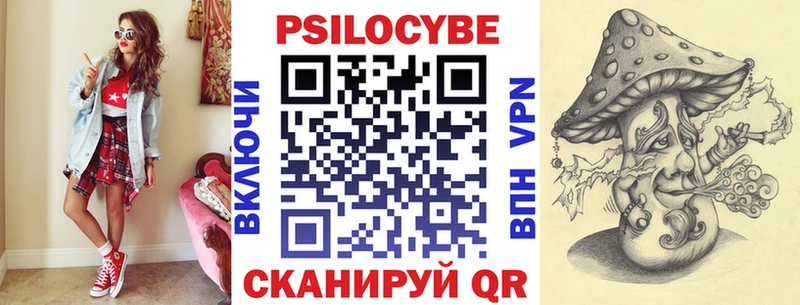 Купить закладки  Зеленокумск  Галлюциногенные грибы Psilocybe 